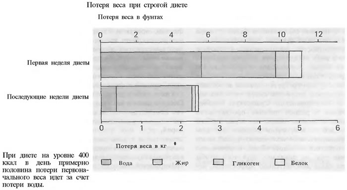 Строгая диета и полное голодание