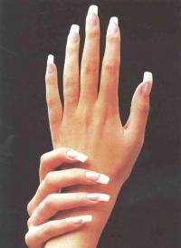 Анатомия кожи и ногтей