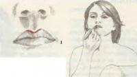 Основная информация о макияже губ