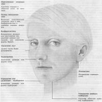 Косметическая хирургия лица