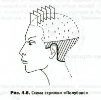 Техника выполнения стрижек: стрижка «Полубокс»