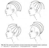 Типы причёсок по расположению волос